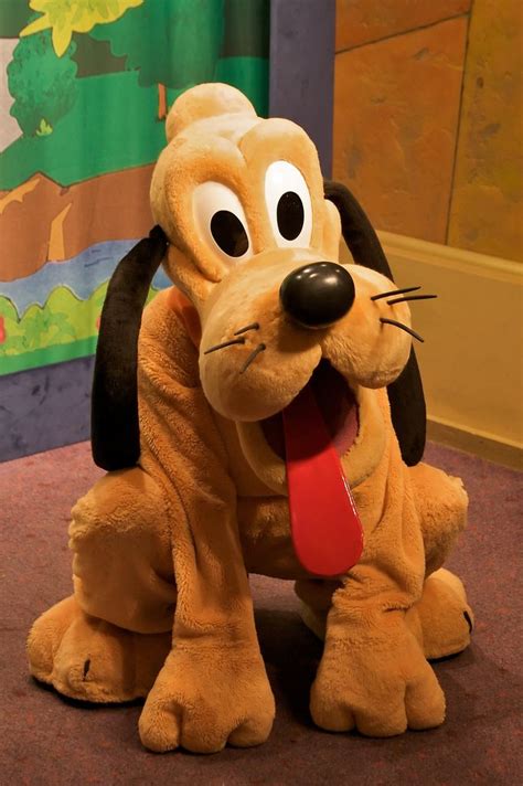 Pluto At Disney Character Central Walt Disney Characters Disney