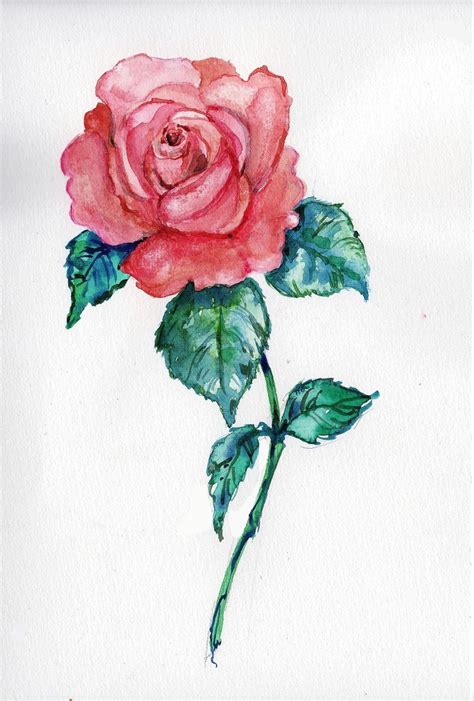 Aquarelle Peinture Rose Décorationtableau Botanique Fleur Pour Sous Verre Un Grand Ma