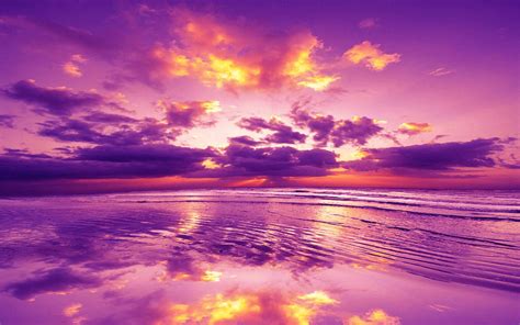 Sea Pictures Purple Sky Sunrise Images