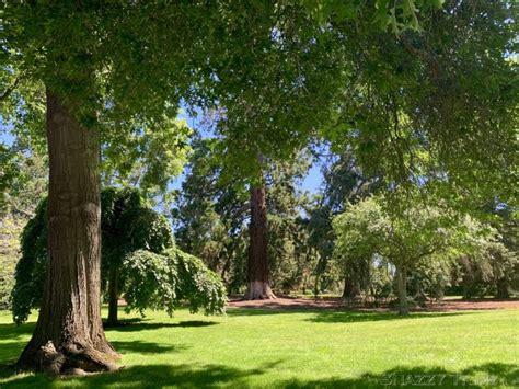 Ballarat Botanical Gardens Snazzy Trips Travel Blog