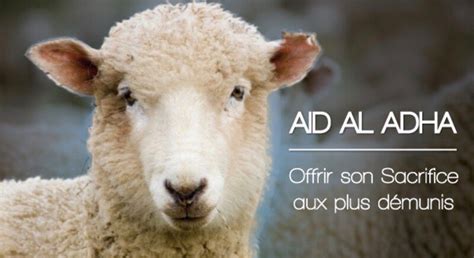 Offrir Un Mouton Pour L Aid - Un mouton pour tous AÏD AL ADHA 2020 - CotizUp.com