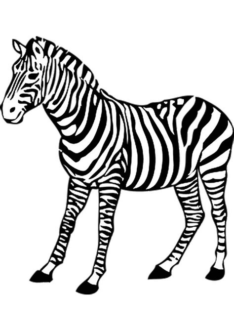 Can be used to fill up these pages. 8 Ausmalbilder Zebra | Coloring Pages