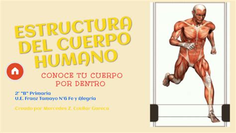 Estructura Del Cuerpo Humano By Mercedesmscg On Genially