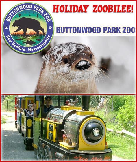 Cape Cod Daily Deal With Buttonwood Park Zoo In New Bedford During