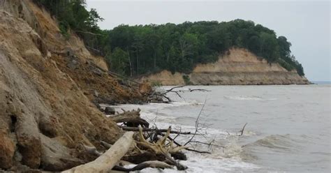 These Maryland Cliffs Hold 15 Million Year Old Fossils