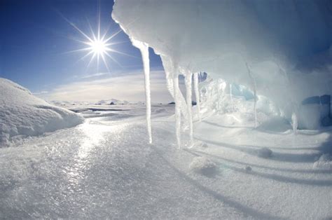 Crisis In The Cryosphere Part 2 Scientific American Blog Network