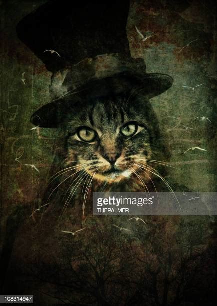 Black Cat Hat Photos And Premium High Res Pictures Getty Images