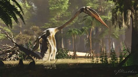 Quetzalcoatlus Dinosaurs Pictures And Facts