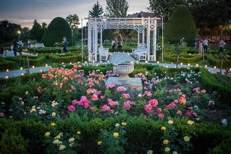 Maybe you would like to learn more about one of these? Romania's City of Roses is Home to the Most Beautiful ...