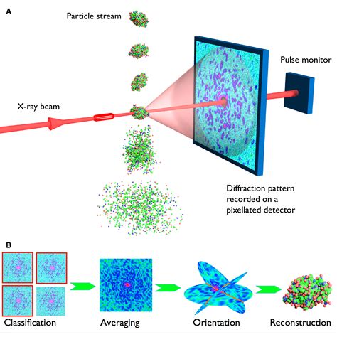 Coherent Diffractive Imaging Of Single Particles