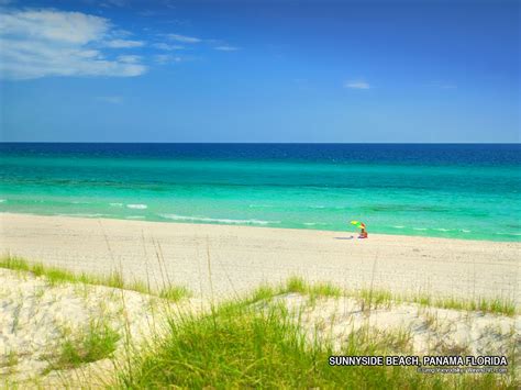 Florida Beaches Florida Beach Photo Free Desktop