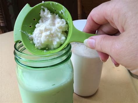 Kefir emagrece Saiba mais sobre este interessante alimento