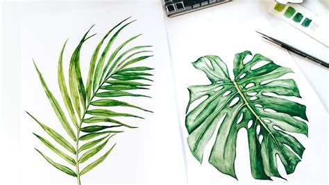 Tropical Watercolor Leaves Painting Time Lapse Monstera Palm Leaf