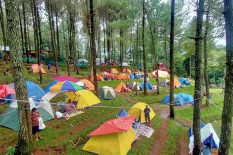 Rekomendasi Camping Di Trawas Mojokerto Pasti Memukau Pengunjung Cek