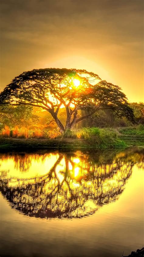 Sunset Pond With Tree Reflection Fotografia Natura Fotografia Al