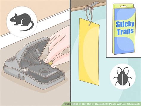 13 Ways To Get Rid Of Household Pests Without Chemicals Wikihow