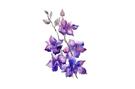 Bouquet Of Purple Flowers Png Watercolor Set By Mystocks