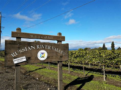 5 Top Sonoma Wineries To Visit Sonoma County Wineries