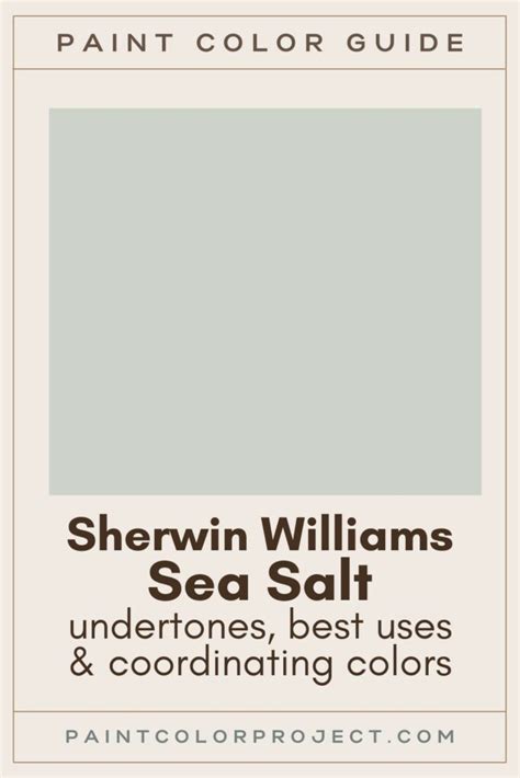 Sherwin Williams Sea Salt A Complete Color Review The Paint Color
