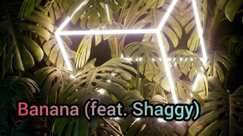 Banana Feat Shaggy Dj Fle Minisiren Remix Music Video Youtube