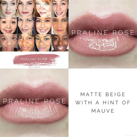 Praline Rose Lipsense Long Lasting Lip Color Senegence