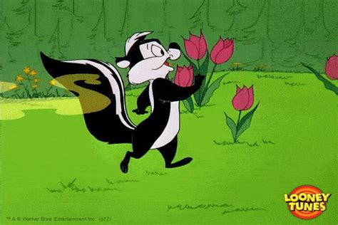 Happy Pepe Le Pew Gif By Looney Tunes Find Share On Giphy Looney Tunes Looney Tunes Show