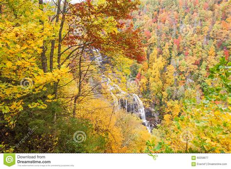 Autumn Color And Waterfall Nc Stock Image Image Of Southeast Motion