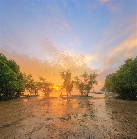 Beautiful Sunrise Over The Tropical Beach Thailand Stock Photo Image