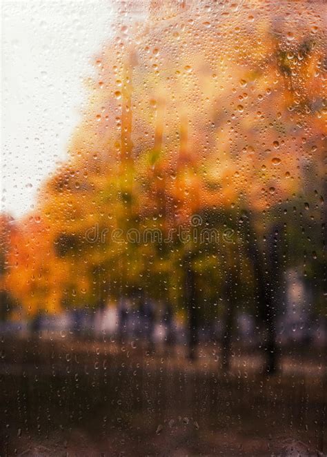 Rainy Autumn Landscape Through A Window With Raindrops Stock Image