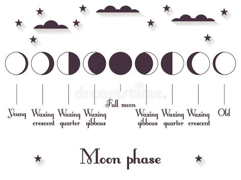 De Fasen Van De Maan De Gehele Cyclus Van Nieuwe Maan Aan Hoogtepunt