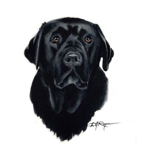 Black Lab Dog Art Print Signed By Artist Dj Rogers Labrador Noir