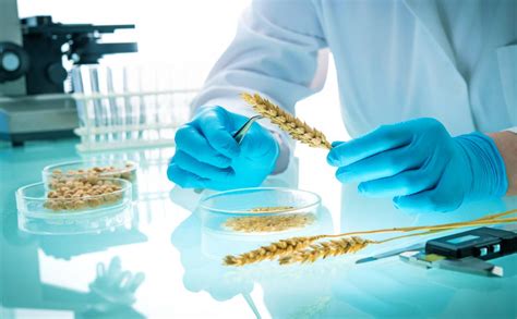 Biosafety Ensuring The Safe Use Of Modern Biotechnologies