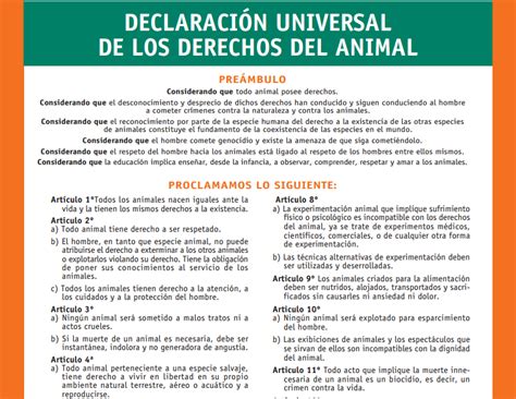 Declaración Universal De Los Derechos Del Animal Fundación Affinity