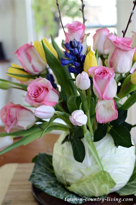 1036 saybrook road haddam, ct 06438. How to Make a Cabbage Flower Vase - Town & Country Living