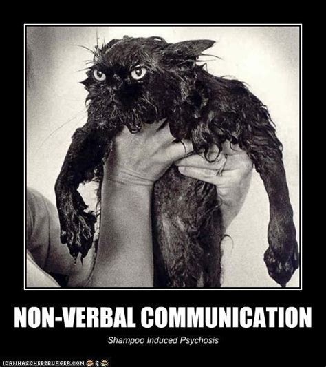 46 Best Images About Nonverbal Communication On Pinterest Different