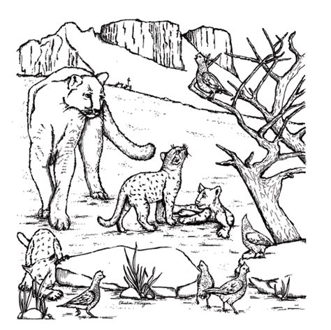 Find over 100+ of the best free puma shoes images. Coloring pages of puma - Imagui