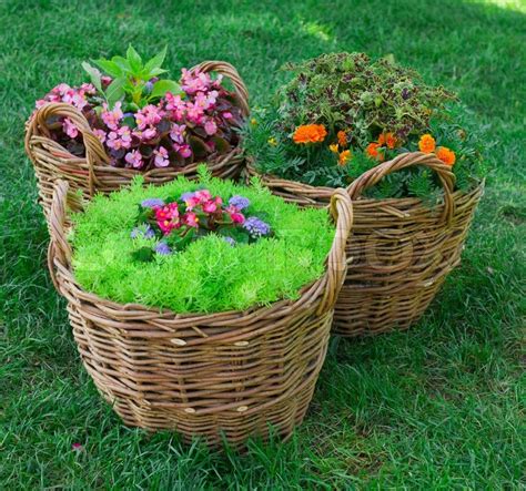 Beautiful Basket Of Flowers In The Garden Landscape Stock Photo