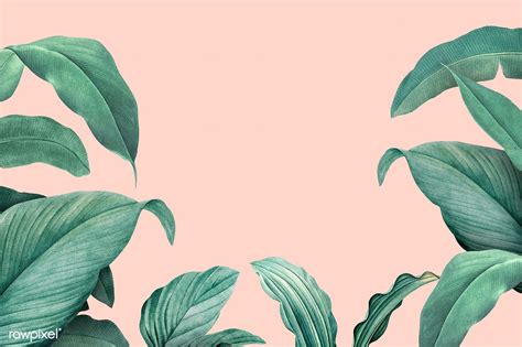 Hand Drawn Tropical Leaves On A Pastel Pink Background Premium Image