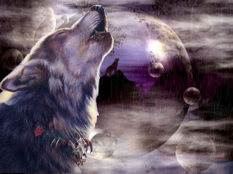 Wallpaper of wolf pictures 3d. Free Wolf Wallpapers - Wallpaper Cave