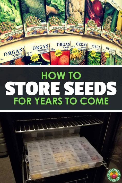 Hence it is a type of gene bank. Advantage Of Storing Seeds In Seed Banks - Summary Of ...