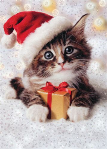 Precious Kitten With Santa Hat Embellished Cat Christmas