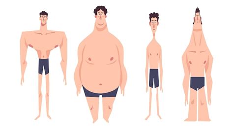 Free Vector Cartoon Types Of Male Body Shapes