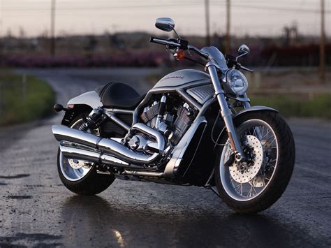 Harley Davidson Vrsc Motorcycles Photo 31816877 Fanpop