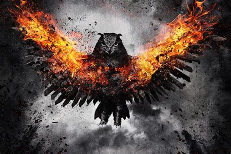 Fire Eagle Wallpapers Top Free Fire Eagle Backgrounds Wallpaperaccess