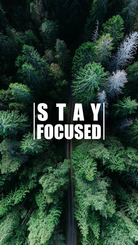 4k Free Download Stay Focused 3 Aerial Forest Green Mountains