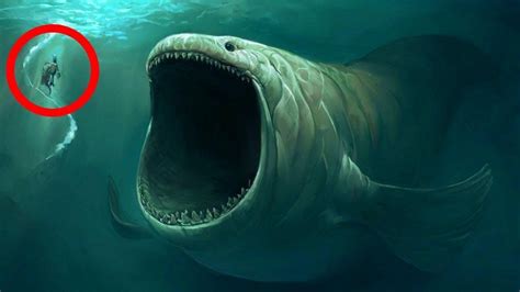 Top 5 Deep Sea Creatures That Haunt The Seas Marathon Youtube