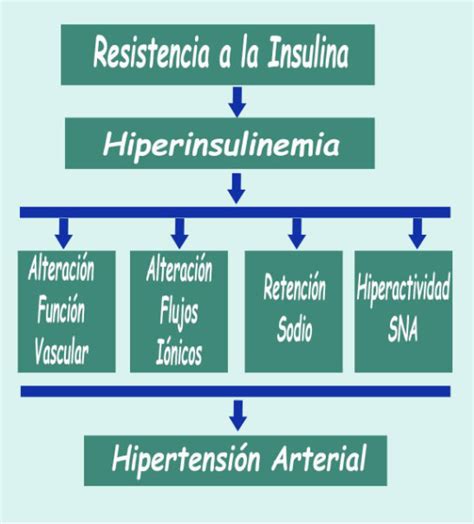 Artículo Resistencia A La Insulina