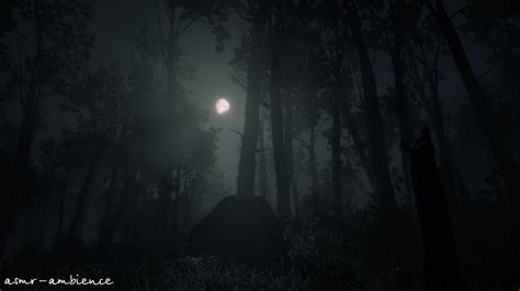 Asmr Ambience The Night Forest 💤 Youtube