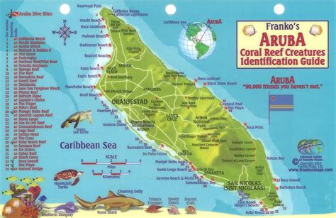 Aruba Reef Creatures Identification Guide By Frankos Maps Ltd