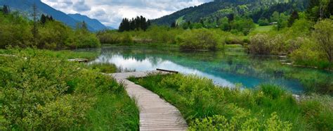 517 likes · 68 talking about this. Naturreservat Zelenci in Slowenien | Die Weltenbummler